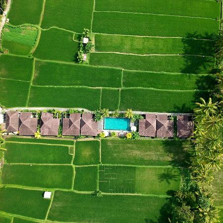 Pajar House Ubud Suite & Villas Exterior photo