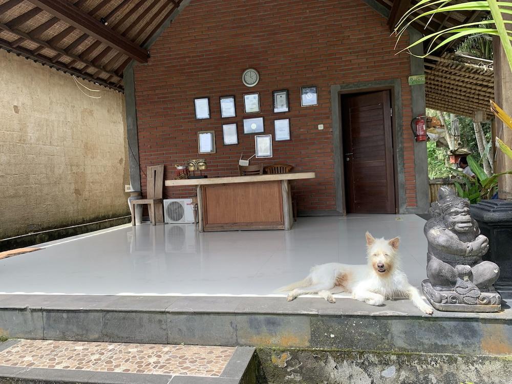 Pajar House Ubud Suite & Villas Exterior photo