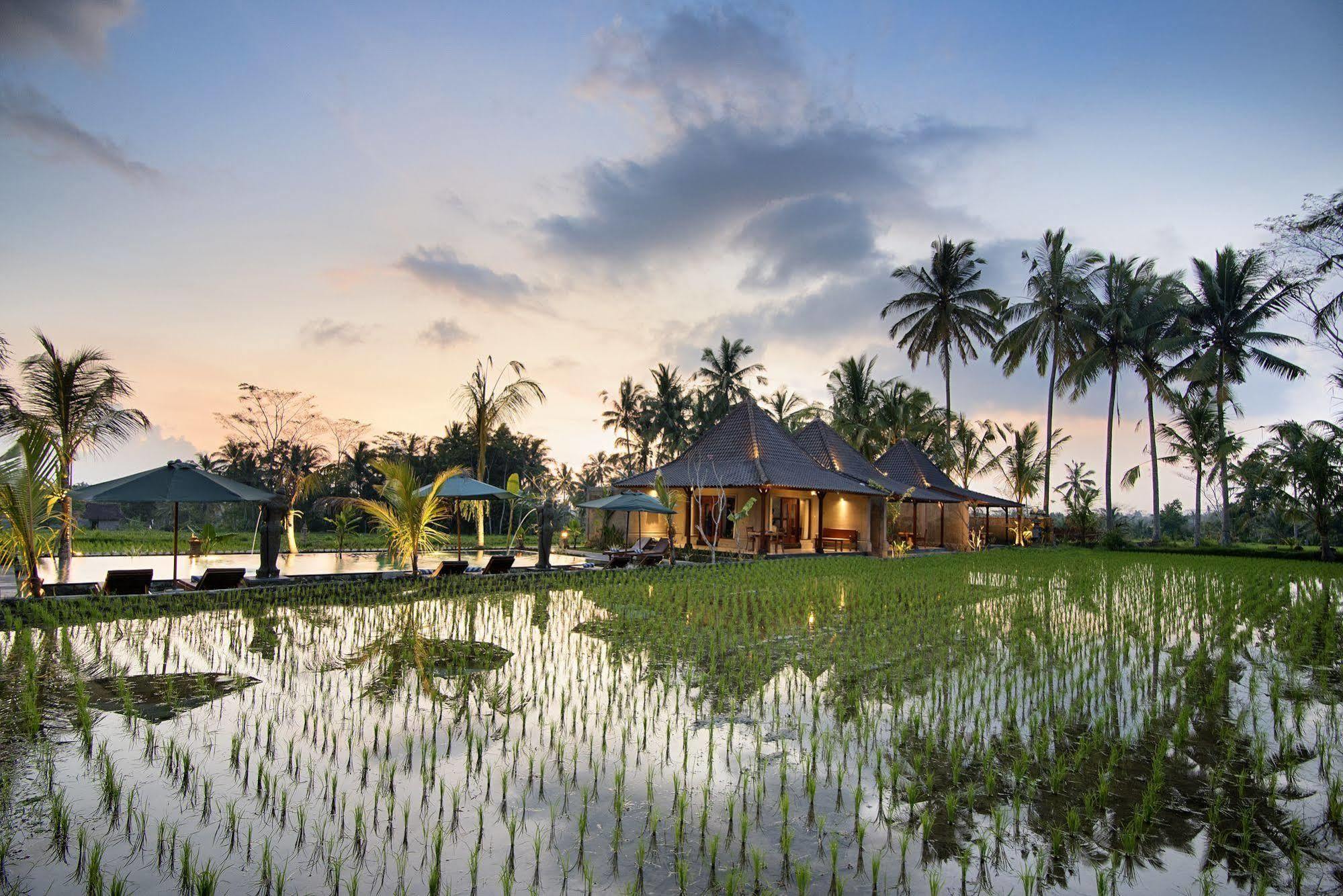 Pajar House Ubud Suite & Villas Exterior photo