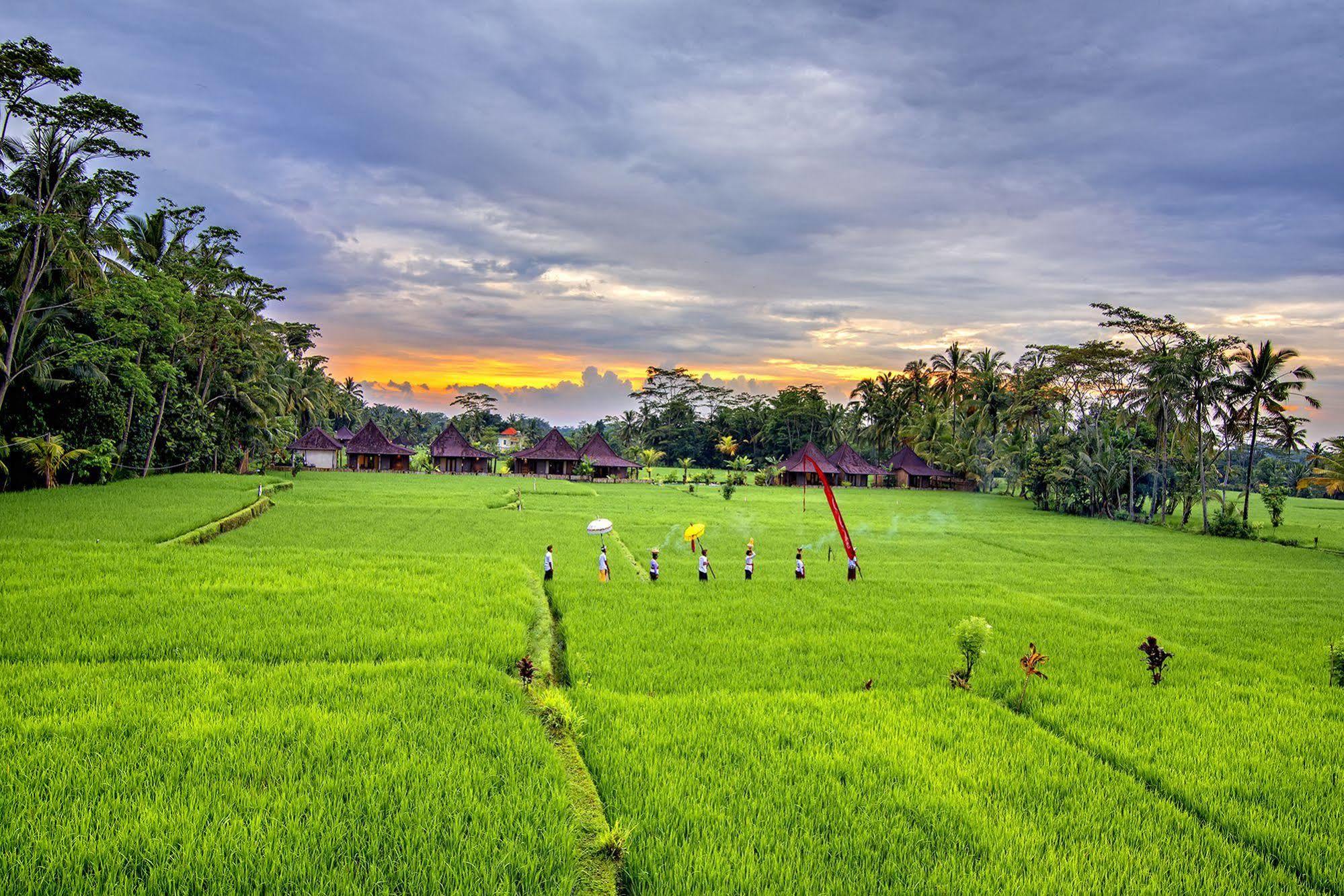 Pajar House Ubud Suite & Villas Exterior photo