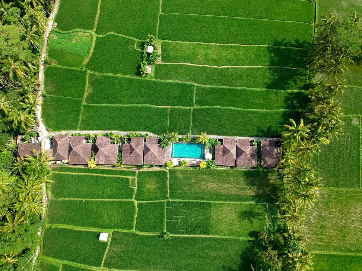 Pajar House Ubud Suite & Villas Exterior photo